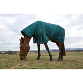 Weatherbeeta Comfitec Classic Turnout Combo 220g Forest Green/Black