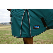 Weatherbeeta Comfitec Classic Turnout Combo 220g Forest Green/Black