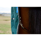 Weatherbeeta Comfitec Classic Turnout Combo 220g Forest Green/Black