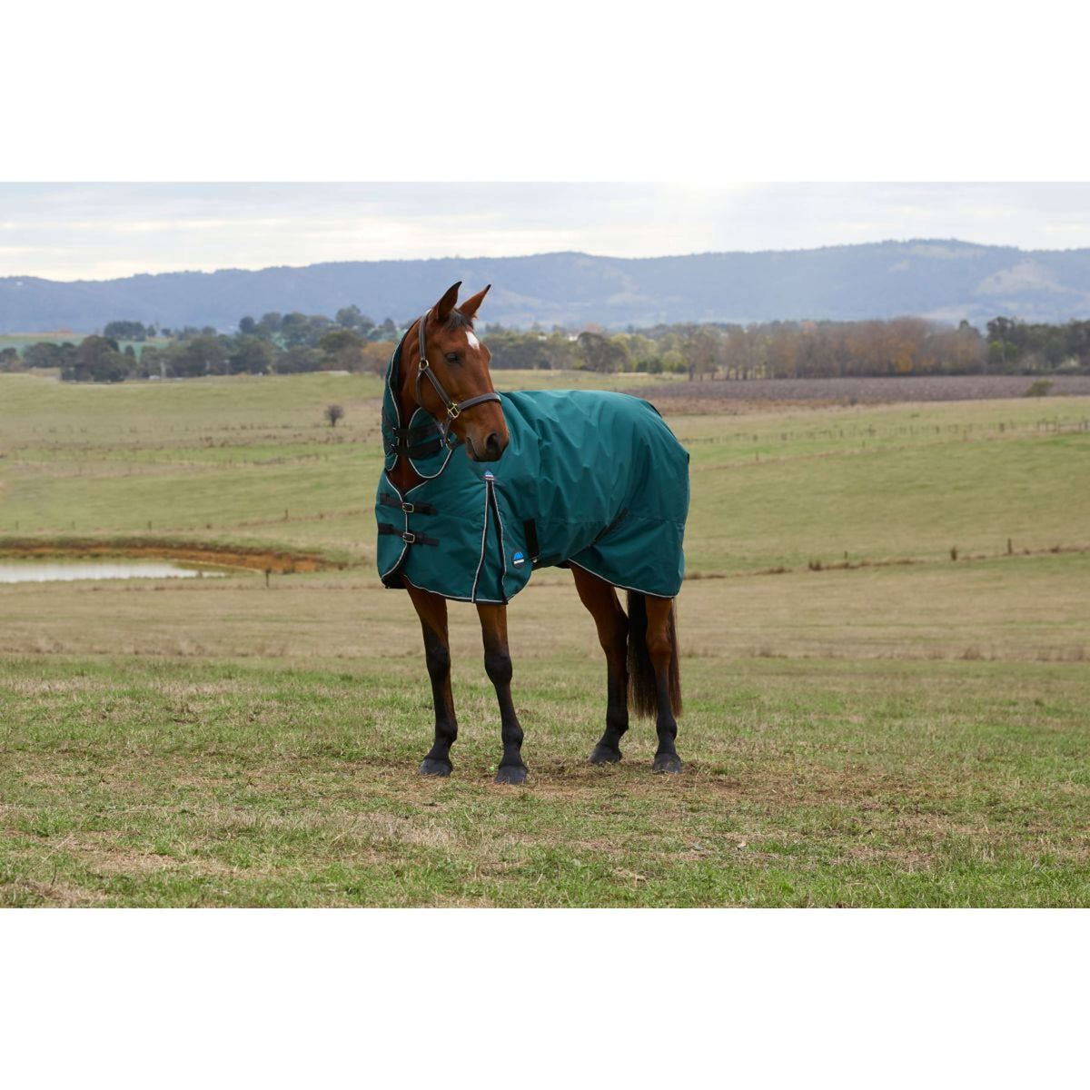 Weatherbeeta Comfitec Classic Turnout Combo 220g Forest Green/Black