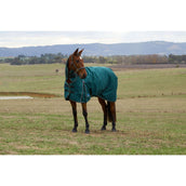 Weatherbeeta Comfitec Classic Turnout Combo 220g Forest Green/Black
