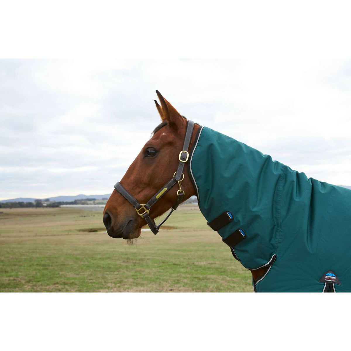 Weatherbeeta Comfitec Classic Turnout Combo 220g Forest Green/Black