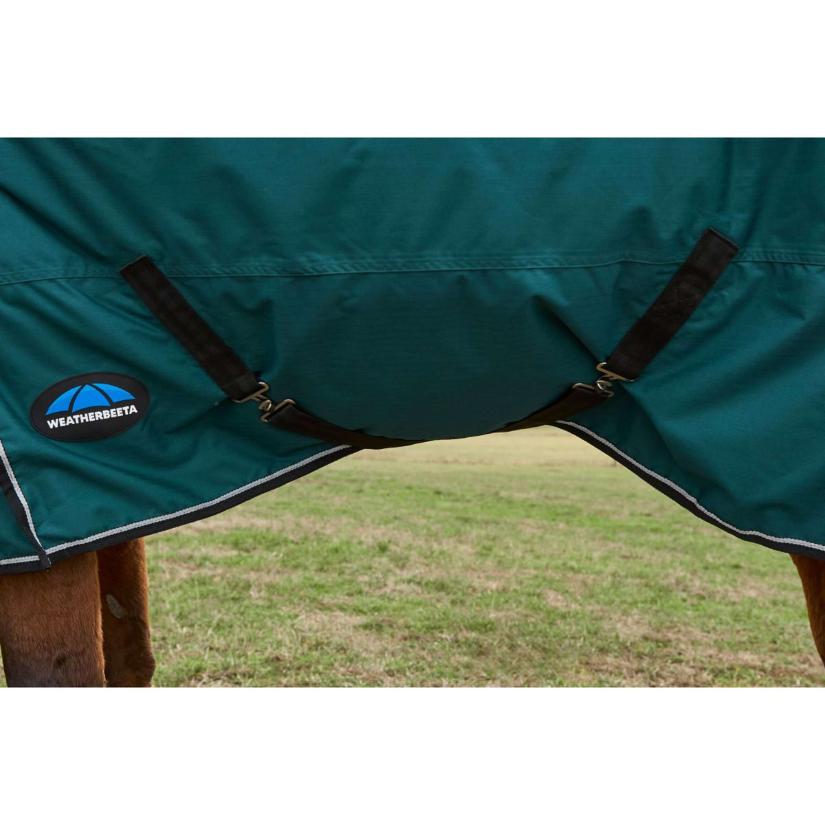 Weatherbeeta Comfitec Classic Turnout Combo 220g Forest Green/Black