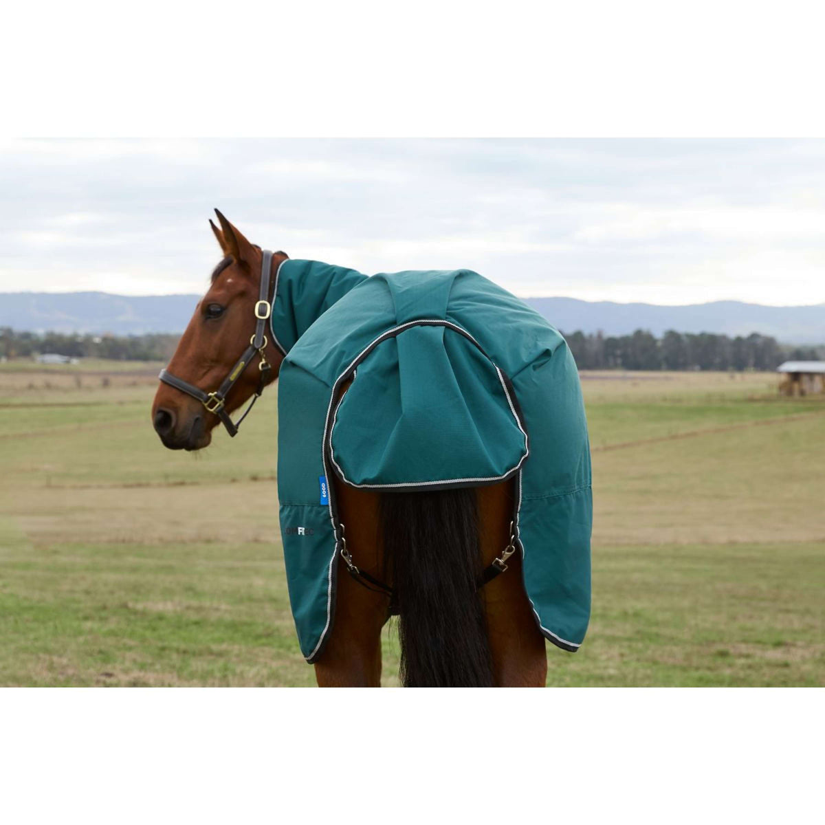Weatherbeeta Comfitec Classic Turnout Combo 220g Forest Green/Black