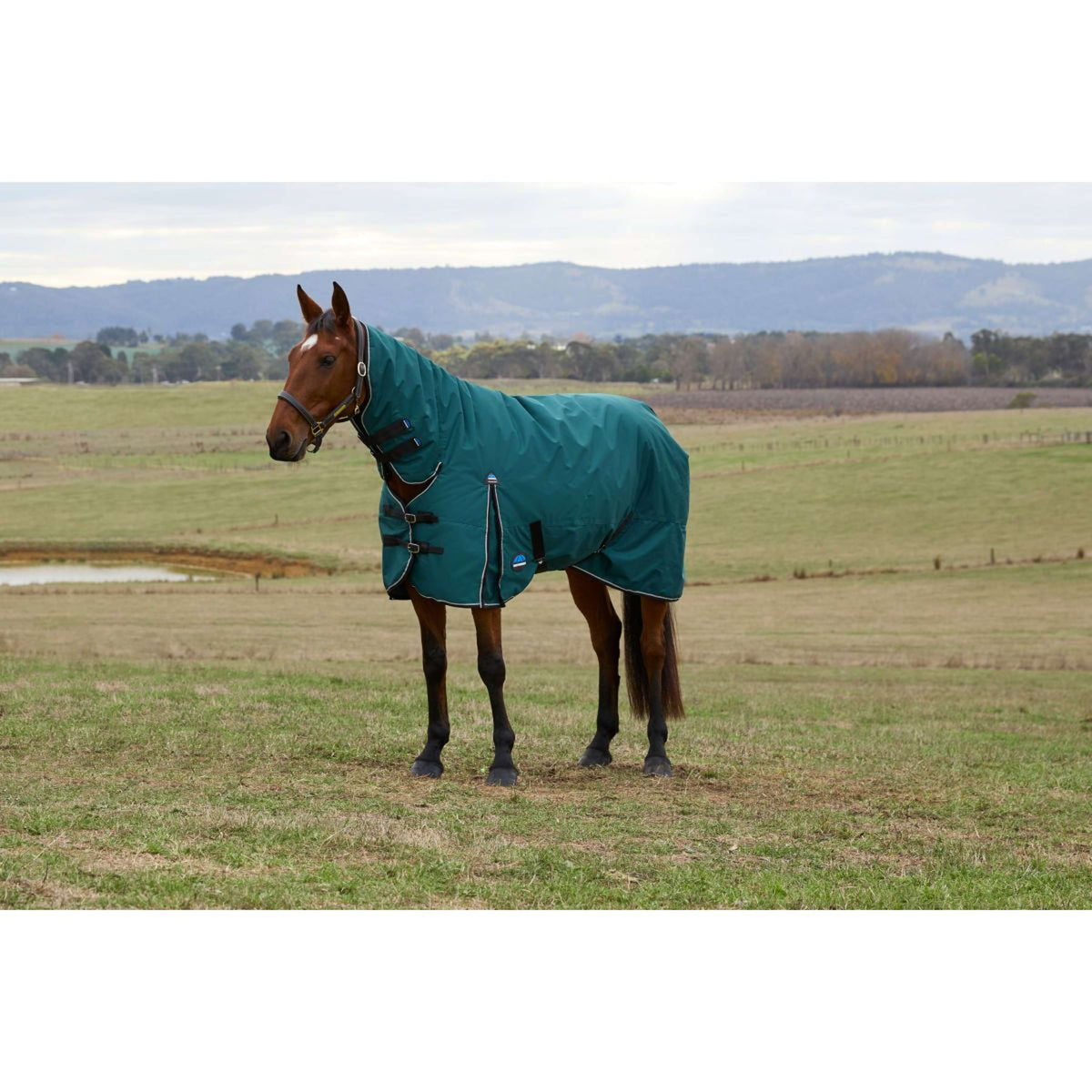 Weatherbeeta Comfitec Classic Turnout Combo 220g Forest Green/Black