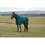 Weatherbeeta Comfitec Classic Turnout Combo 220g Forest Green/Black