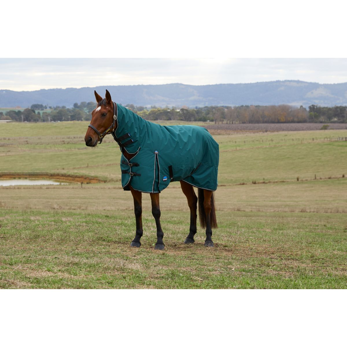 Weatherbeeta Comfitec Classic Turnout Combo 220g Forest Green/Black