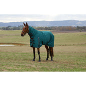 Weatherbeeta Comfitec Classic Turnout Combo 220g Forest Green/Black