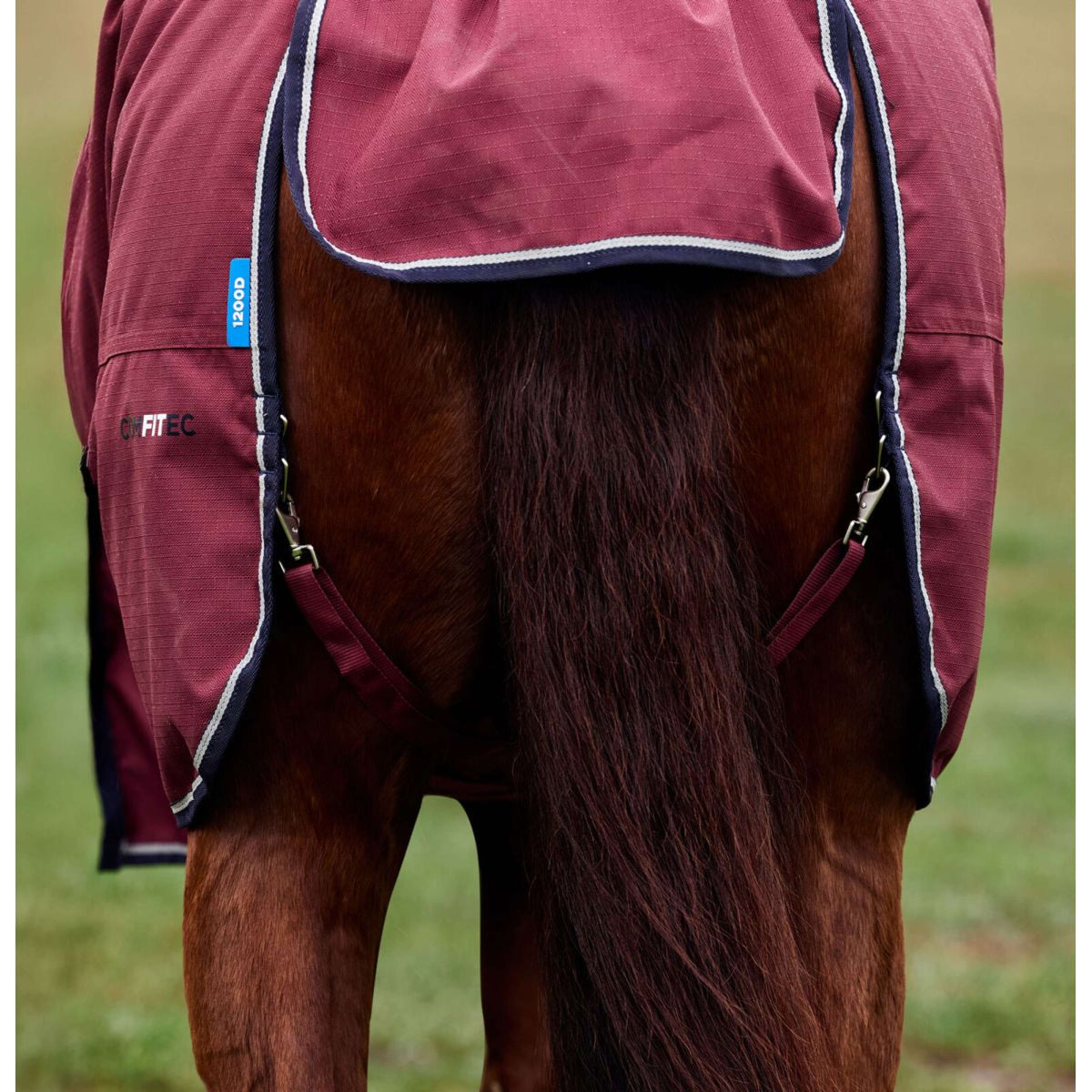 Weatherbeeta Comfitec Prelim Turnout 0g Burdeos/Azul Marino
