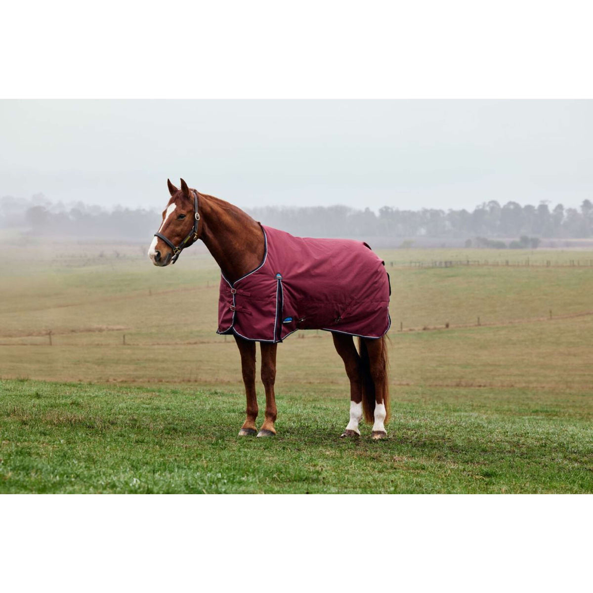 Weatherbeeta Comfitec Prelim Turnout 0g Burdeos/Azul Marino