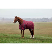 Weatherbeeta Comfitec Prelim Turnout 0g Burdeos/Azul Marino