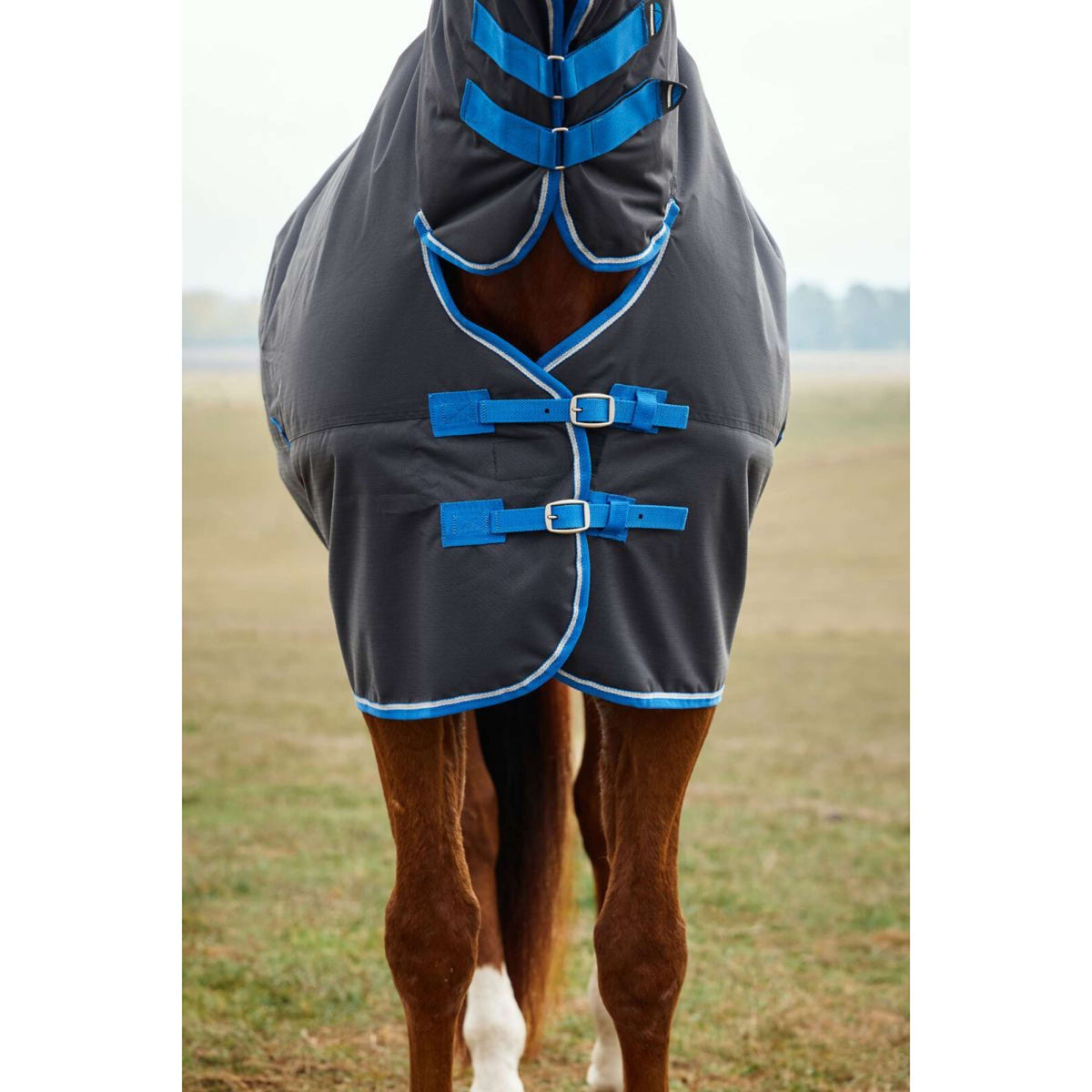Weatherbeeta Comfitec Tyro Turnout Combo Neck 220g Negro/Cobalto