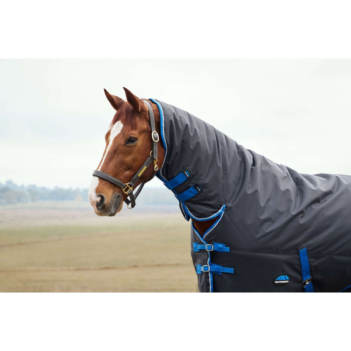 Weatherbeeta Comfitec Tyro Turnout Combo Neck 220g Negro/Cobalto