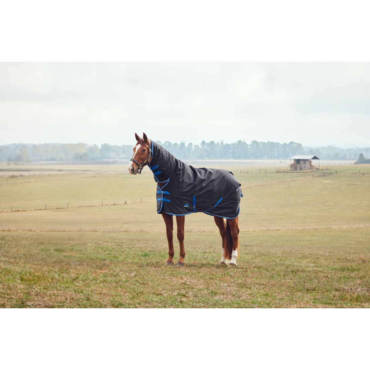 Weatherbeeta Comfitec Tyro Turnout Combo Neck 220g Negro/Cobalto