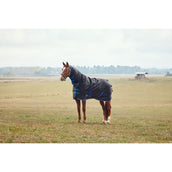 Weatherbeeta Comfitec Tyro Turnout Combo Neck 220g Negro/Cobalto