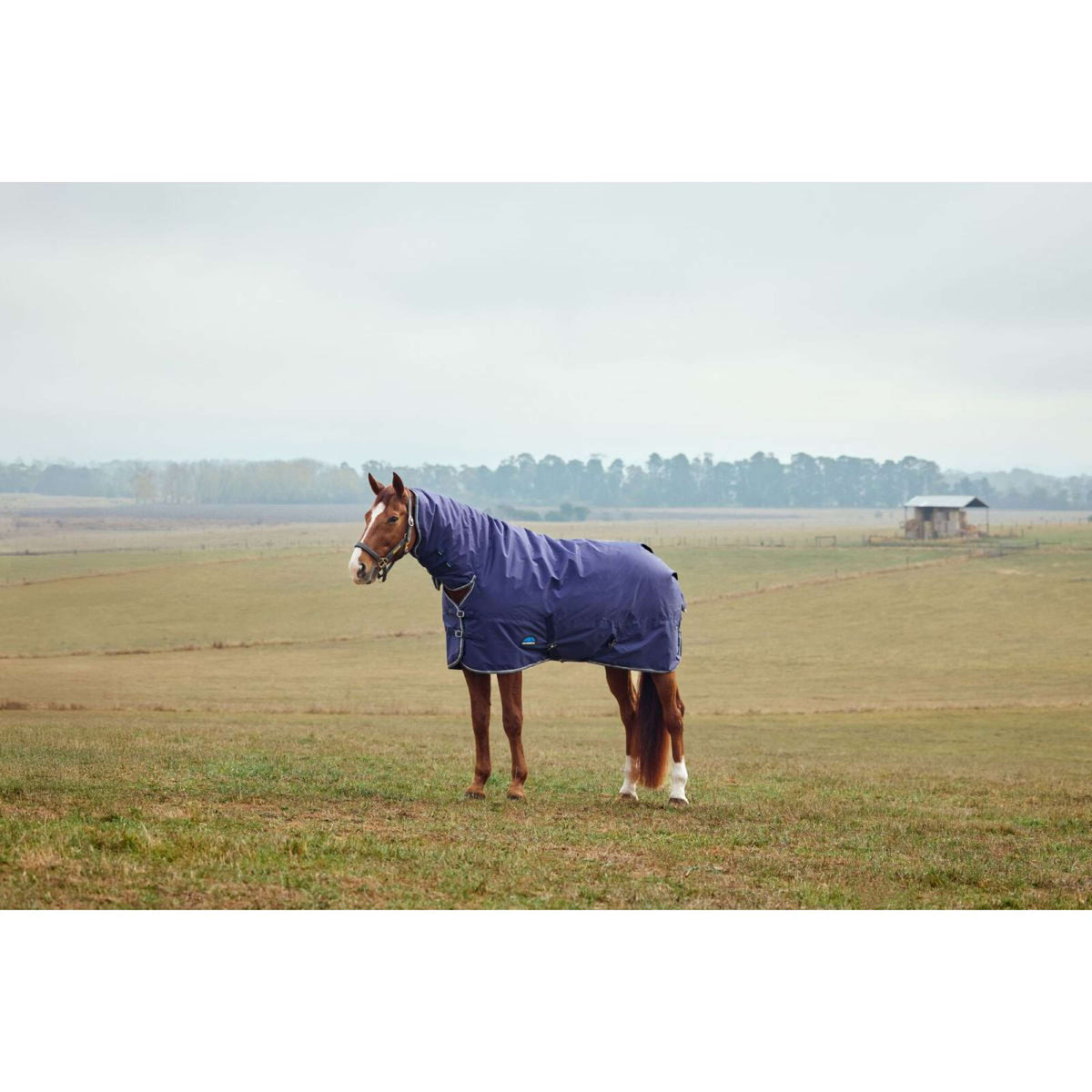 Weatherbeeta Comfitec Tyro Turnout Combo Neck 220g Marino/Carbon