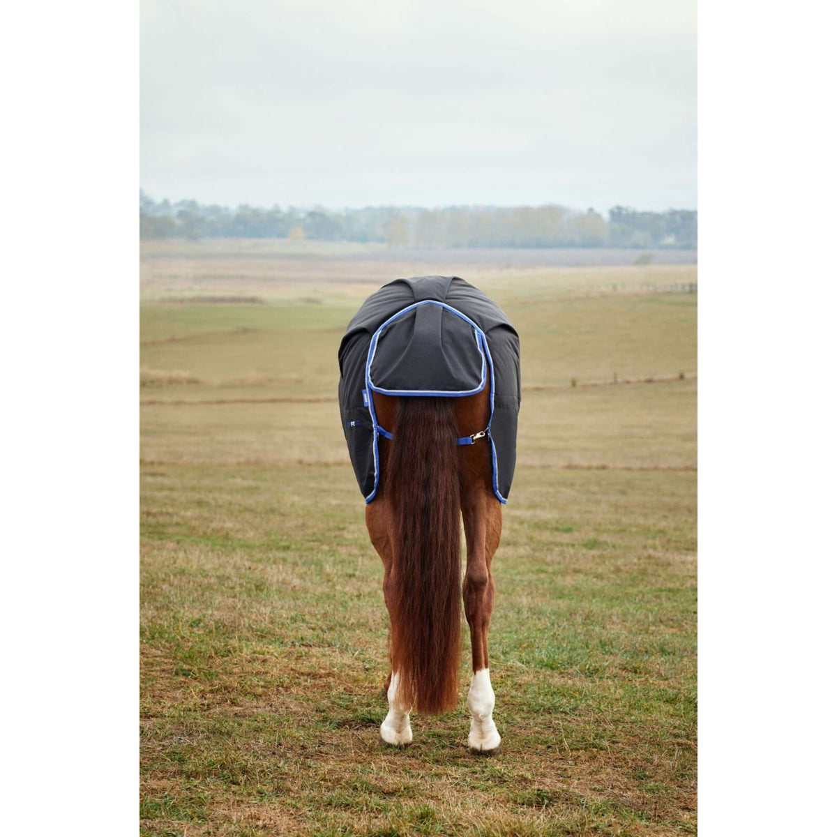 Weatherbeeta Comfitec Tyro Turnout Standard Neck 220g Negro/Cobalto