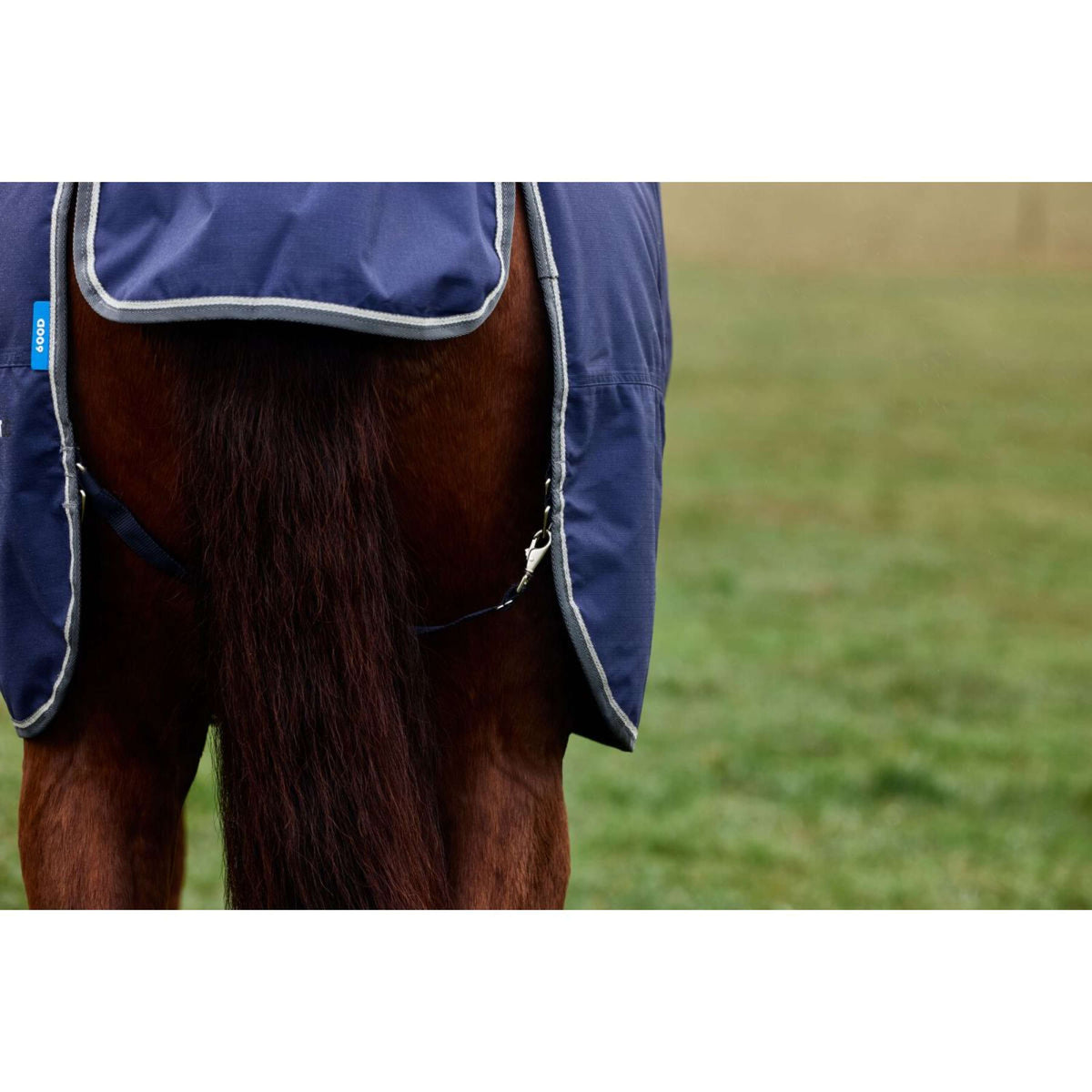 Weatherbeeta Comfitec Tyro Turnout Standard Neck 220g Marino/Carbon
