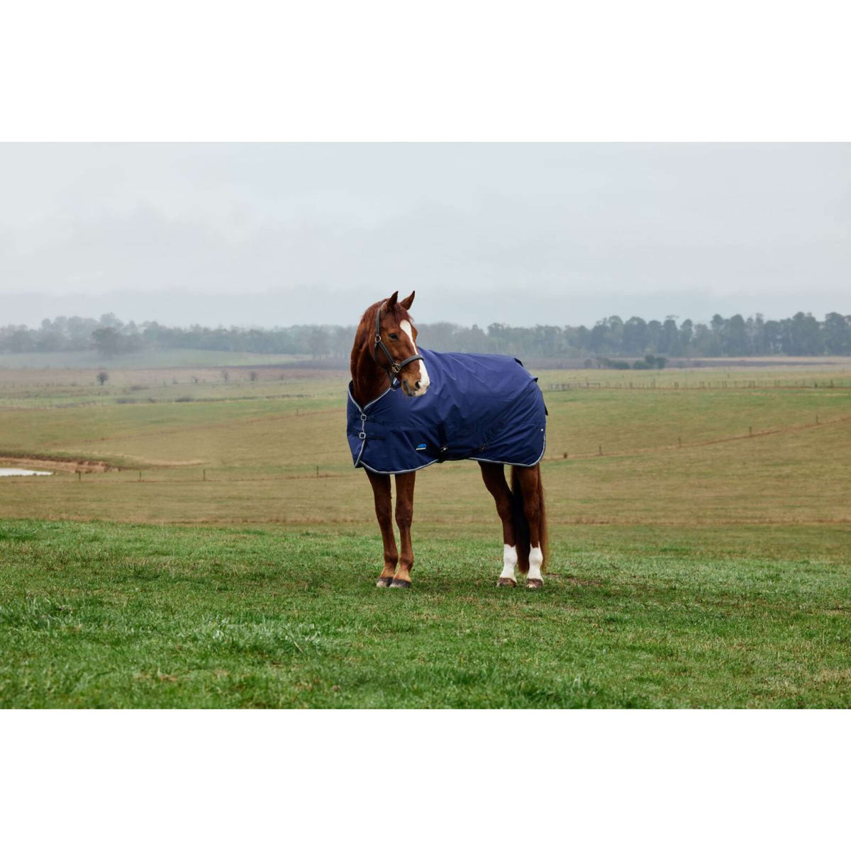 Weatherbeeta Comfitec Tyro Turnout Standard Neck 220g Marino/Carbon