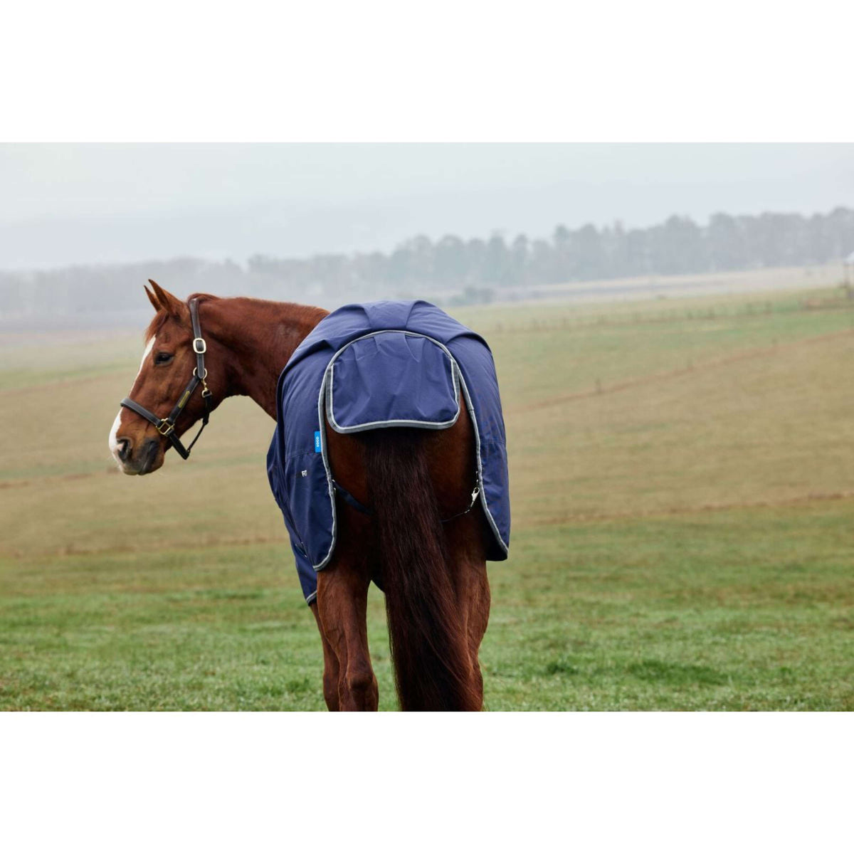 Weatherbeeta Comfitec Tyro Turnout Standard Neck 220g Marino/Carbon