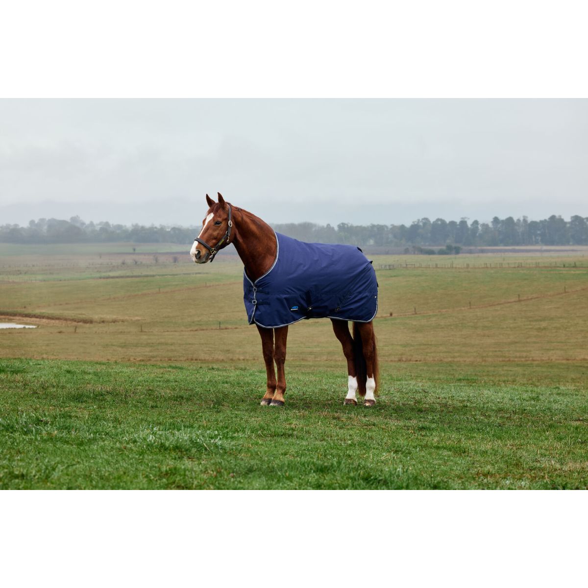 Weatherbeeta Comfitec Tyro Turnout Standard Neck 220g Marino/Carbon