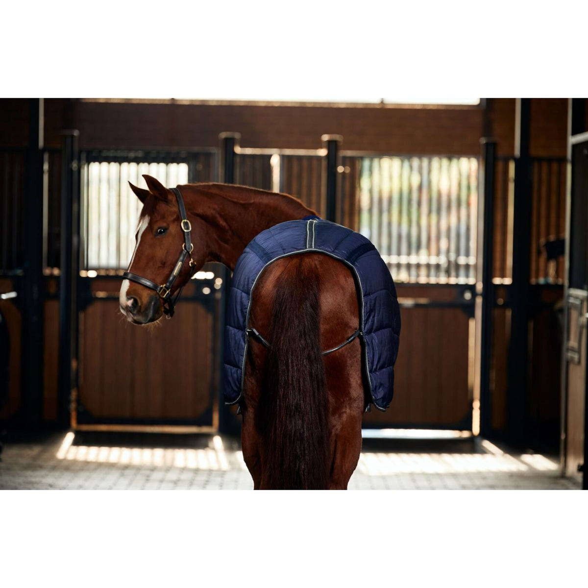 Weatherbeeta Manta de Establo Comfitec PP Channel Quilt Detach-A-Neck 220g Marino/Carbon