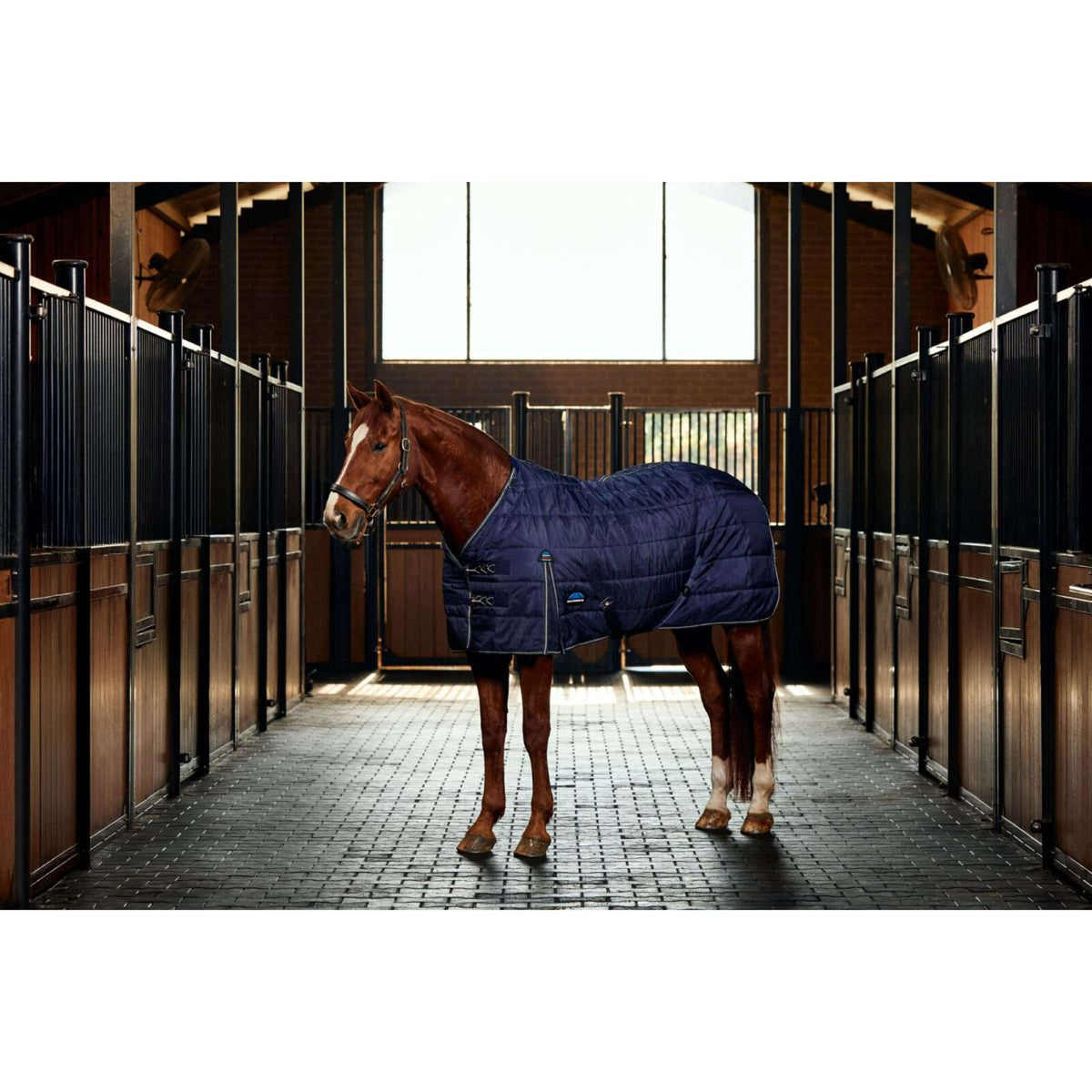 Weatherbeeta Manta de Establo Comfitec PP Channel Quilt Detach-A-Neck 220g Marino/Carbon
