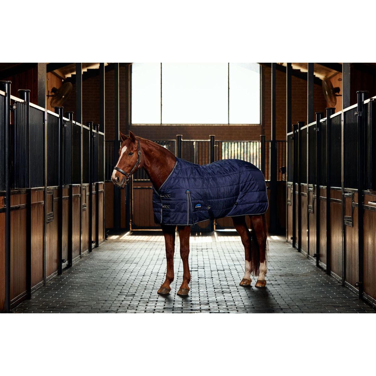 Weatherbeeta Manta de Establo Comfitec PP Channel Quilt Detach-A-Neck 220g Marino/Carbon