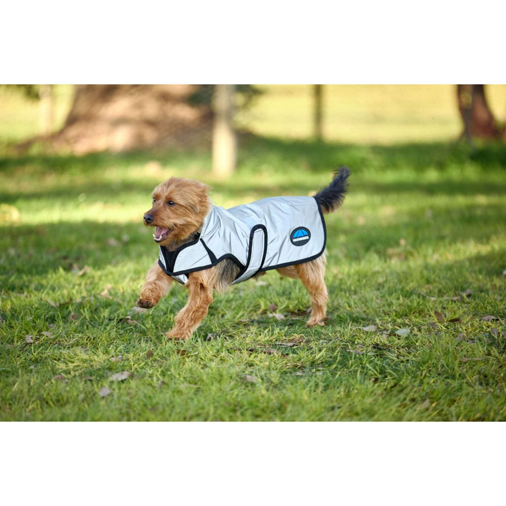 WeatherBeeta Manta para Perros ComFiTec Reflective Showerproof Plata