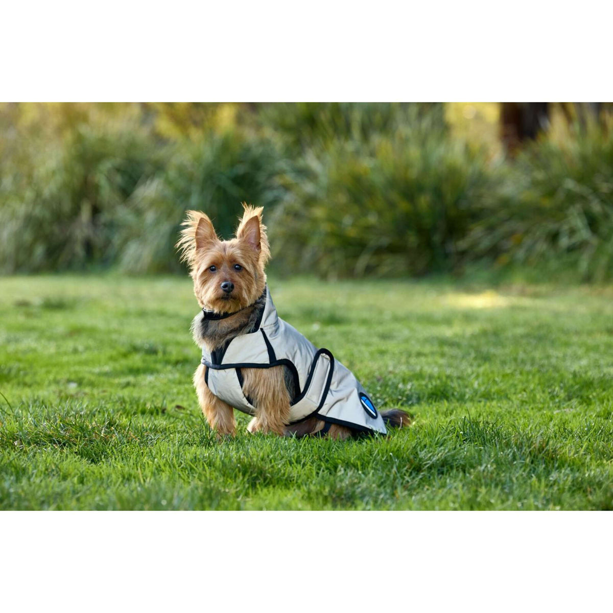 Weatherbeeta Manta para Perros Comfitec Reflective Showerproof Plata