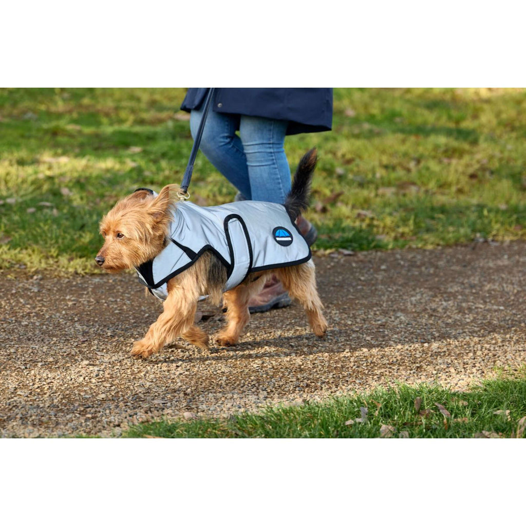 WeatherBeeta Manta para Perros ComFiTec Reflective Showerproof Plata