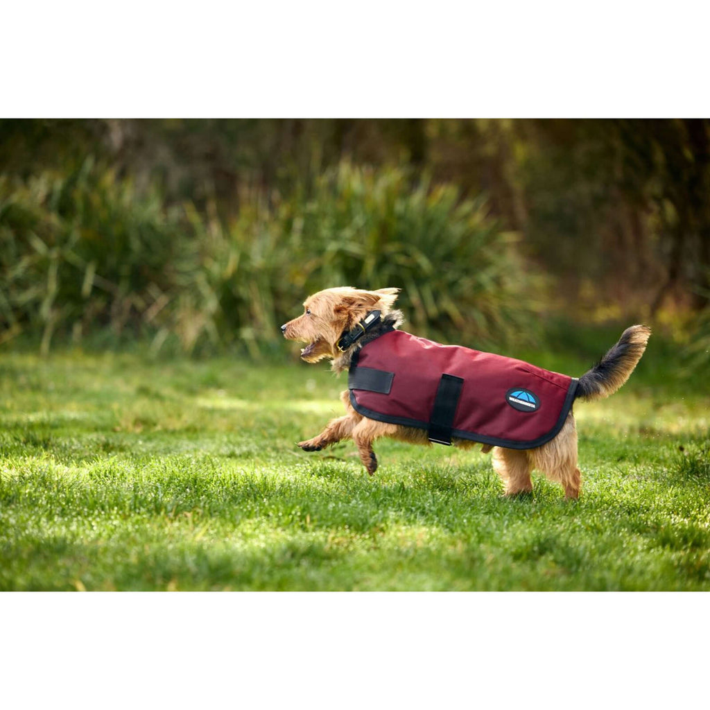 WeatherBeeta Manta para Perros ComFiTec Classic Waterproof Burdeos