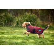 Weatherbeeta Manta para Perros Comfitec Classic Waterproof Burdeos