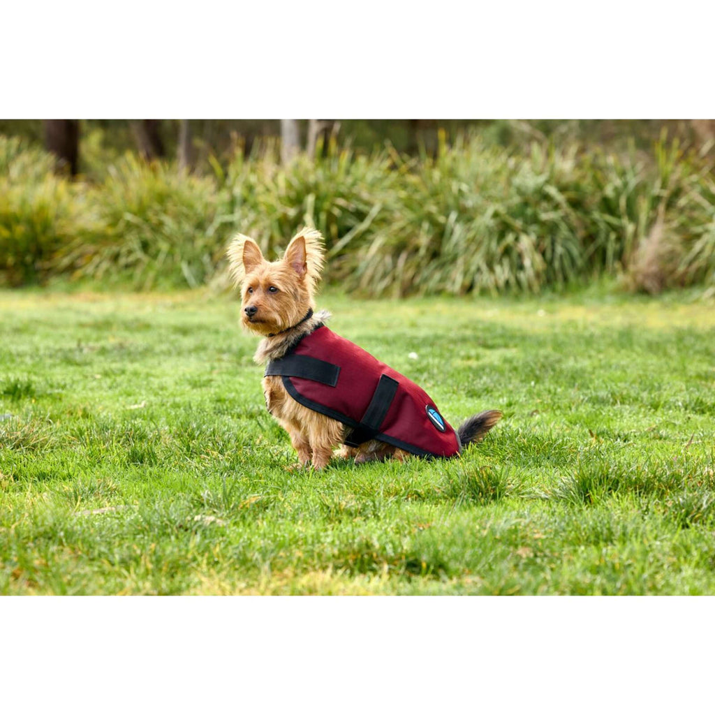 WeatherBeeta Manta para Perros ComFiTec Classic Waterproof Burdeos