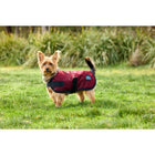 WeatherBeeta Manta para Perros ComFiTec Classic Waterproof Burdeos