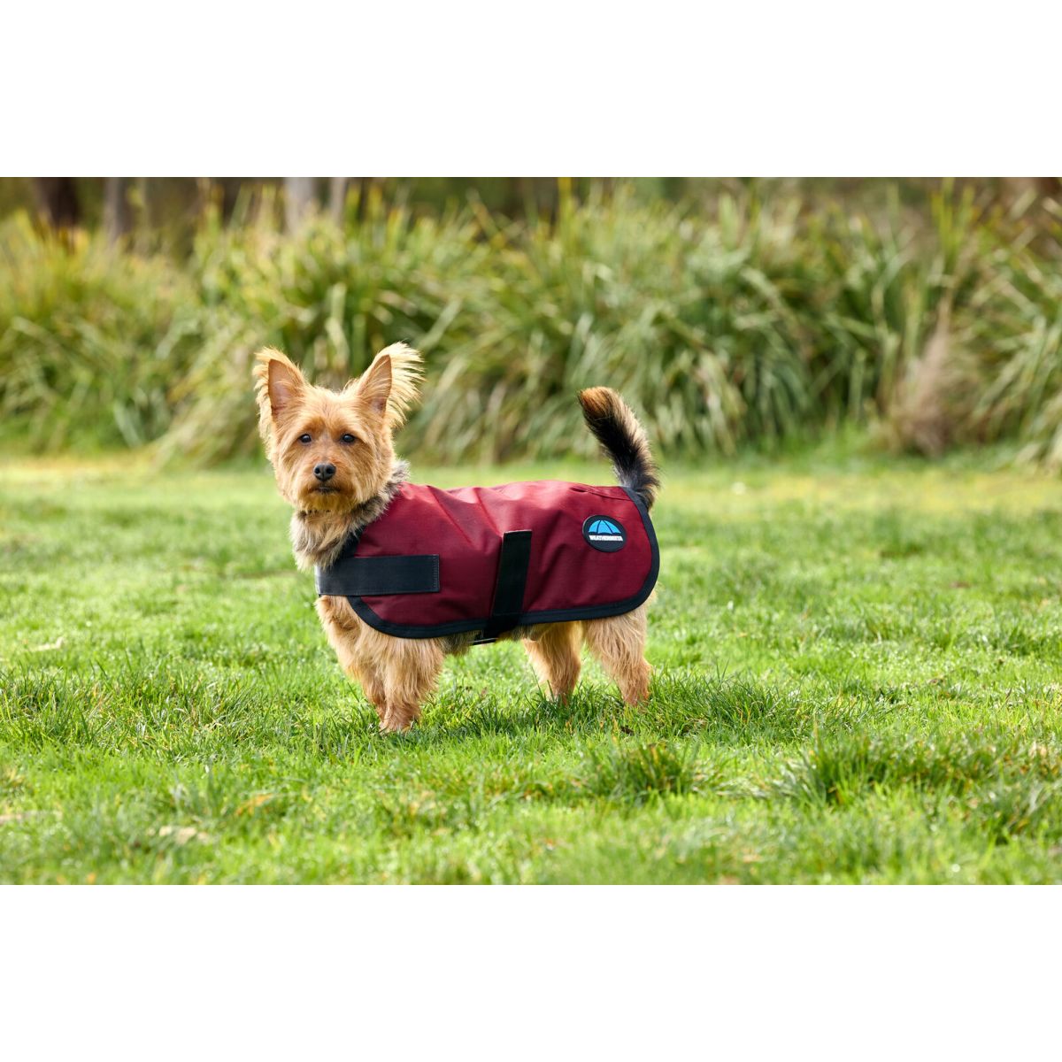 Weatherbeeta Manta para Perros Comfitec Classic Waterproof Burdeos