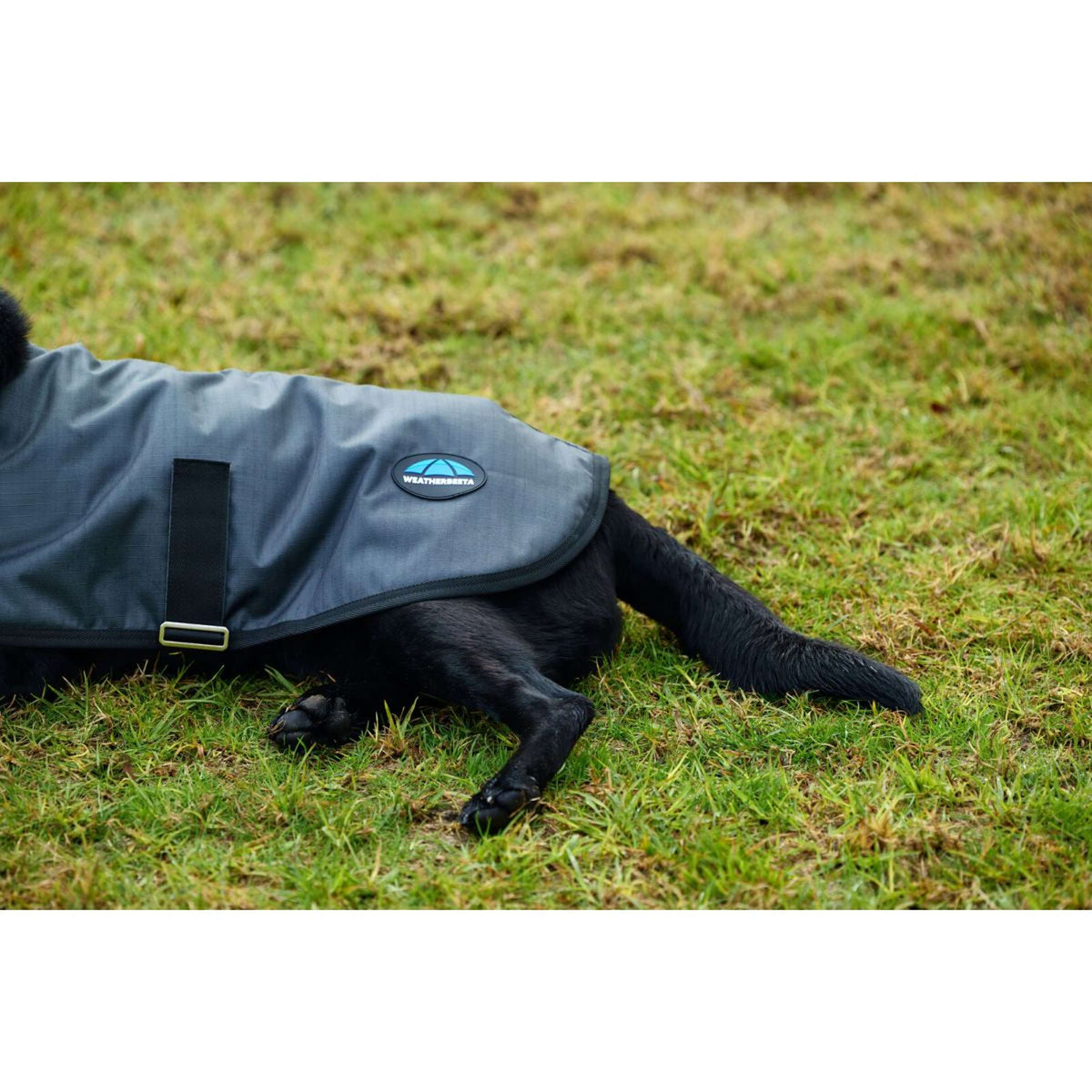 Weatherbeeta Manta para Perros Comfitec Classic Waterproof Carbon