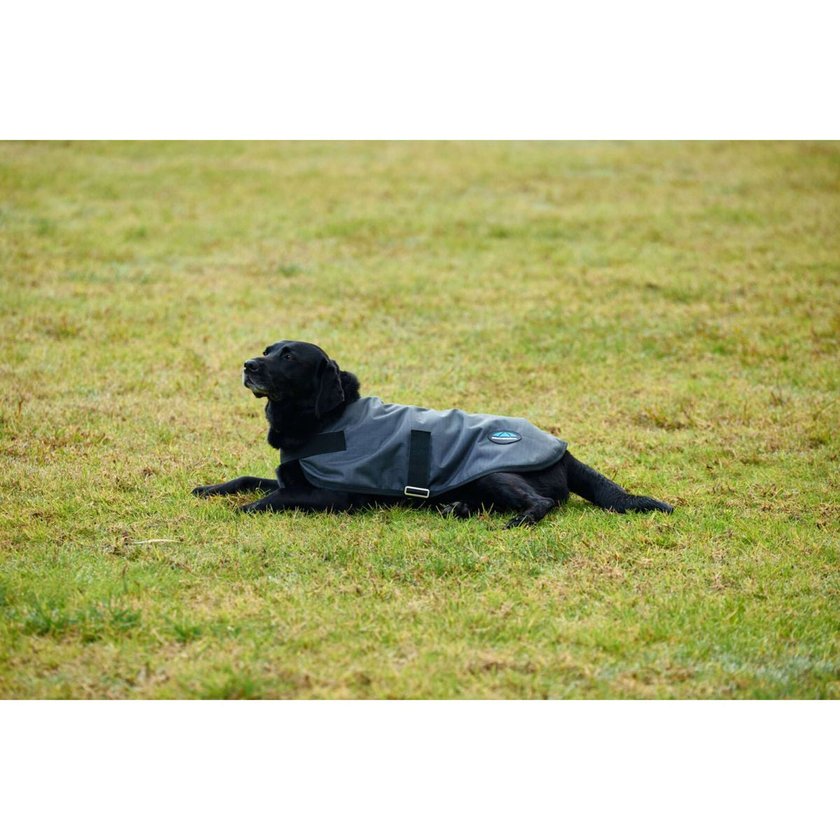 Weatherbeeta Manta para Perros Comfitec Classic Waterproof Carbon
