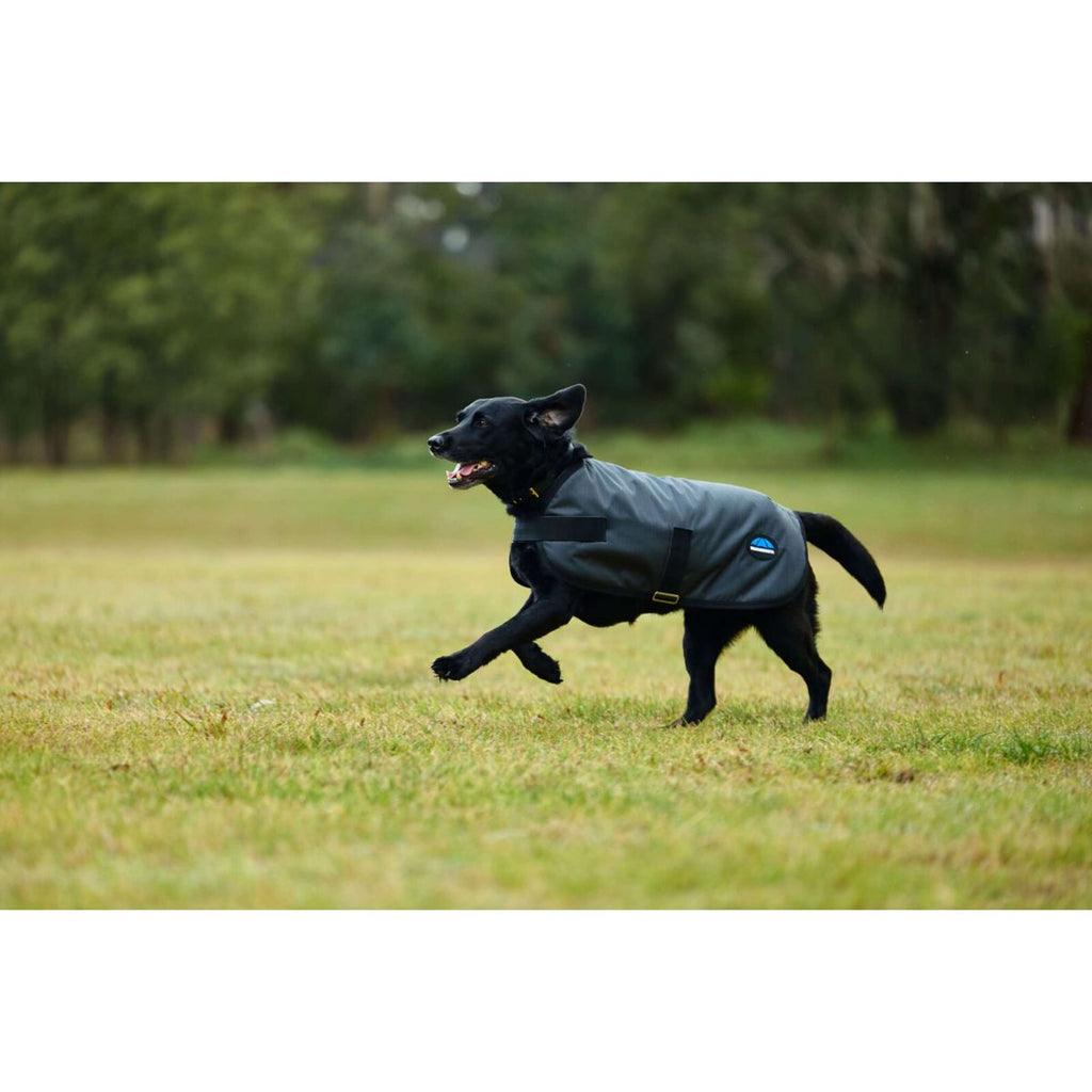 WeatherBeeta Manta para Perros ComFiTec Classic Waterproof Carbon