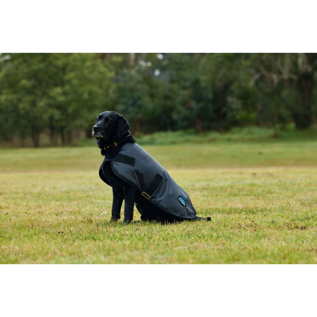 WeatherBeeta Manta para Perros ComFiTec Classic Waterproof Carbon