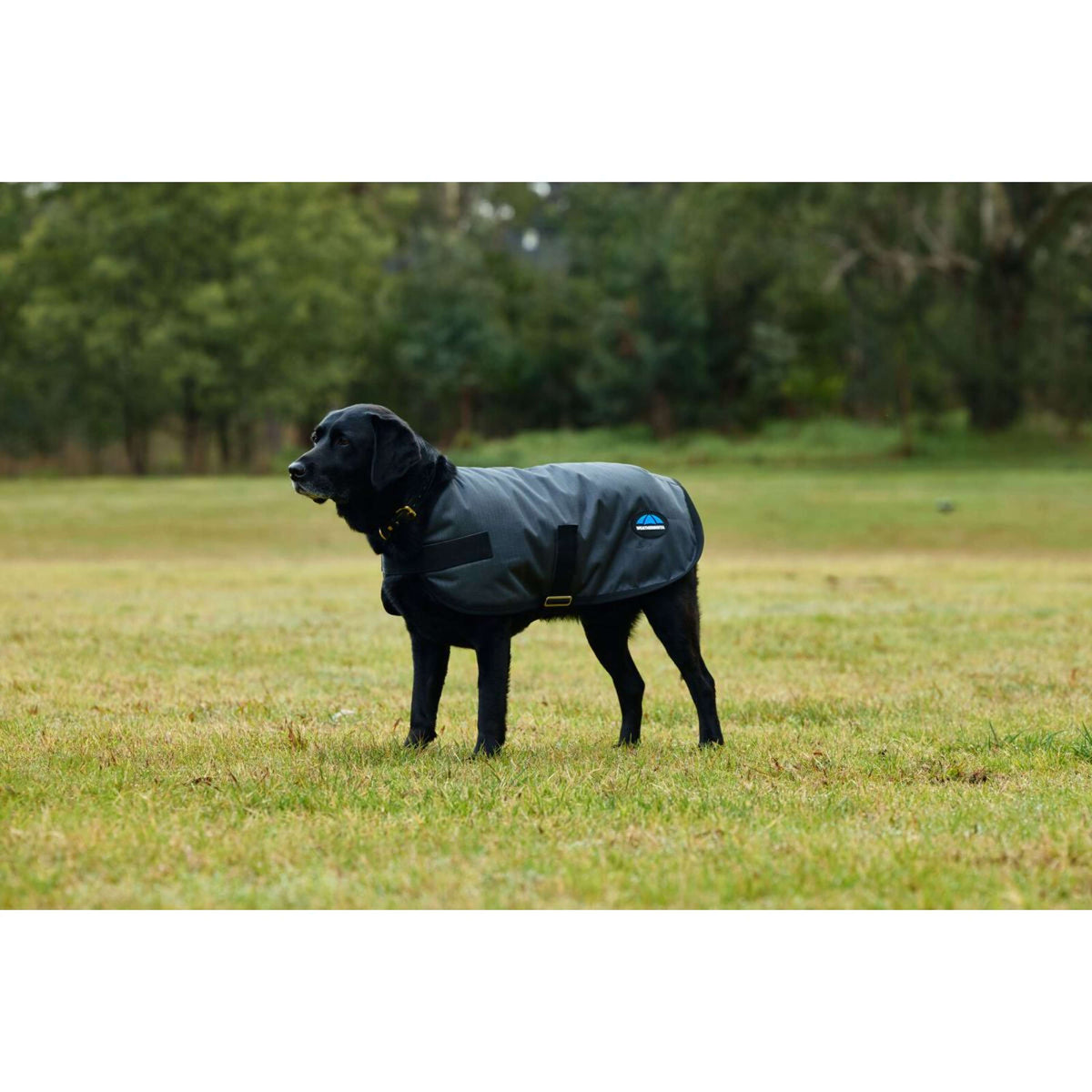 Weatherbeeta Manta para Perros Comfitec Classic Waterproof Carbon