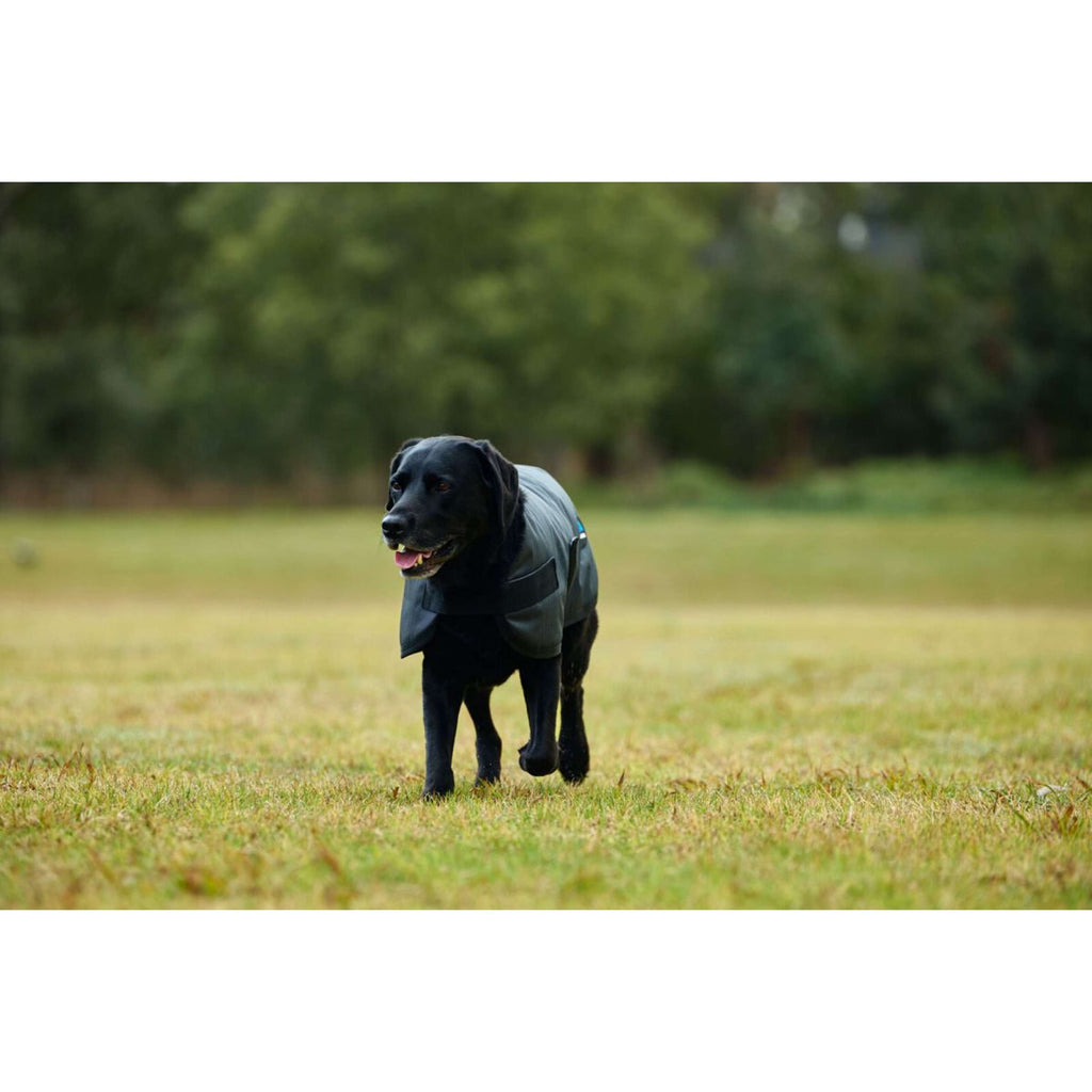 WeatherBeeta Manta para Perros ComFiTec Classic Waterproof Carbon