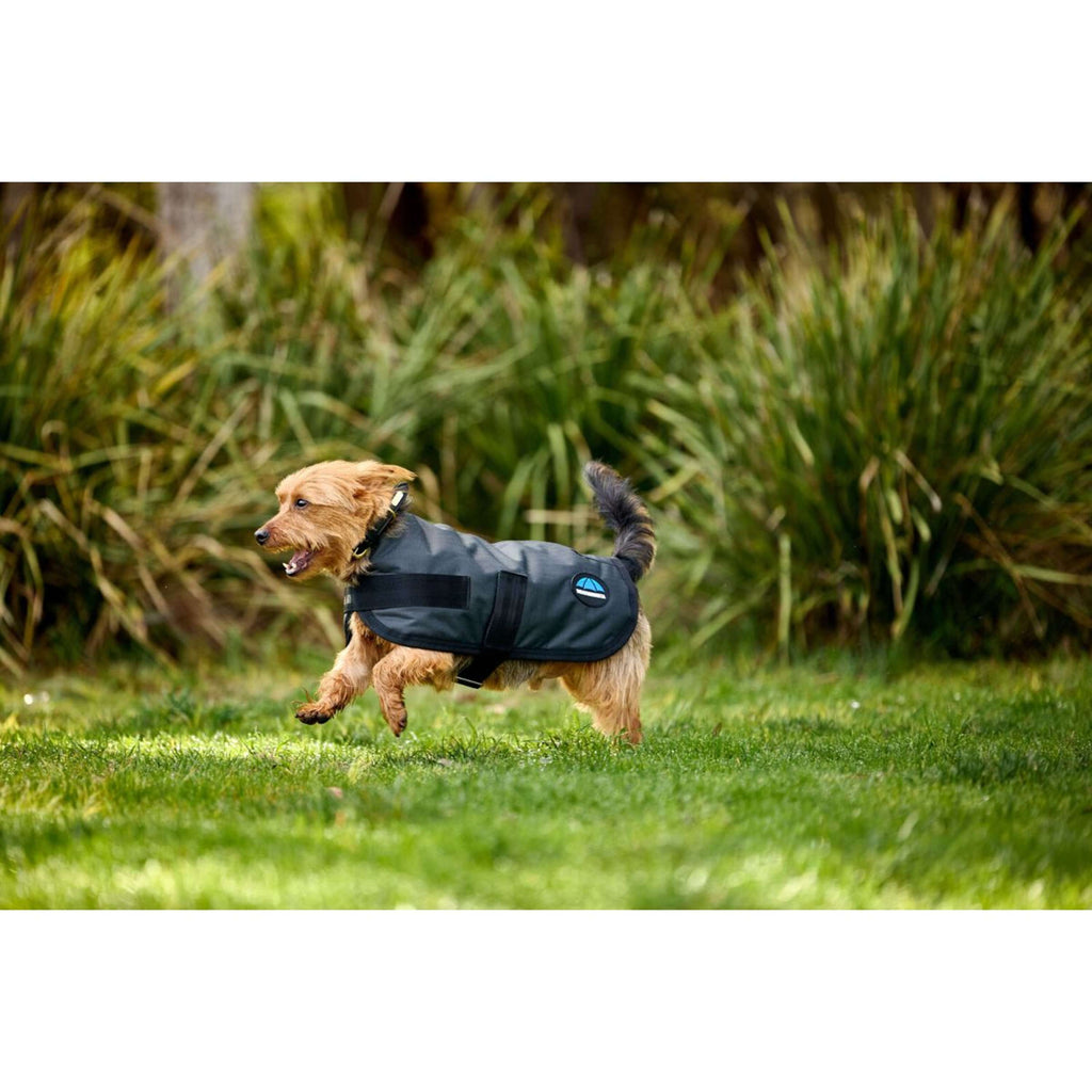 WeatherBeeta Manta para Perros ComFiTec Classic Waterproof Carbon