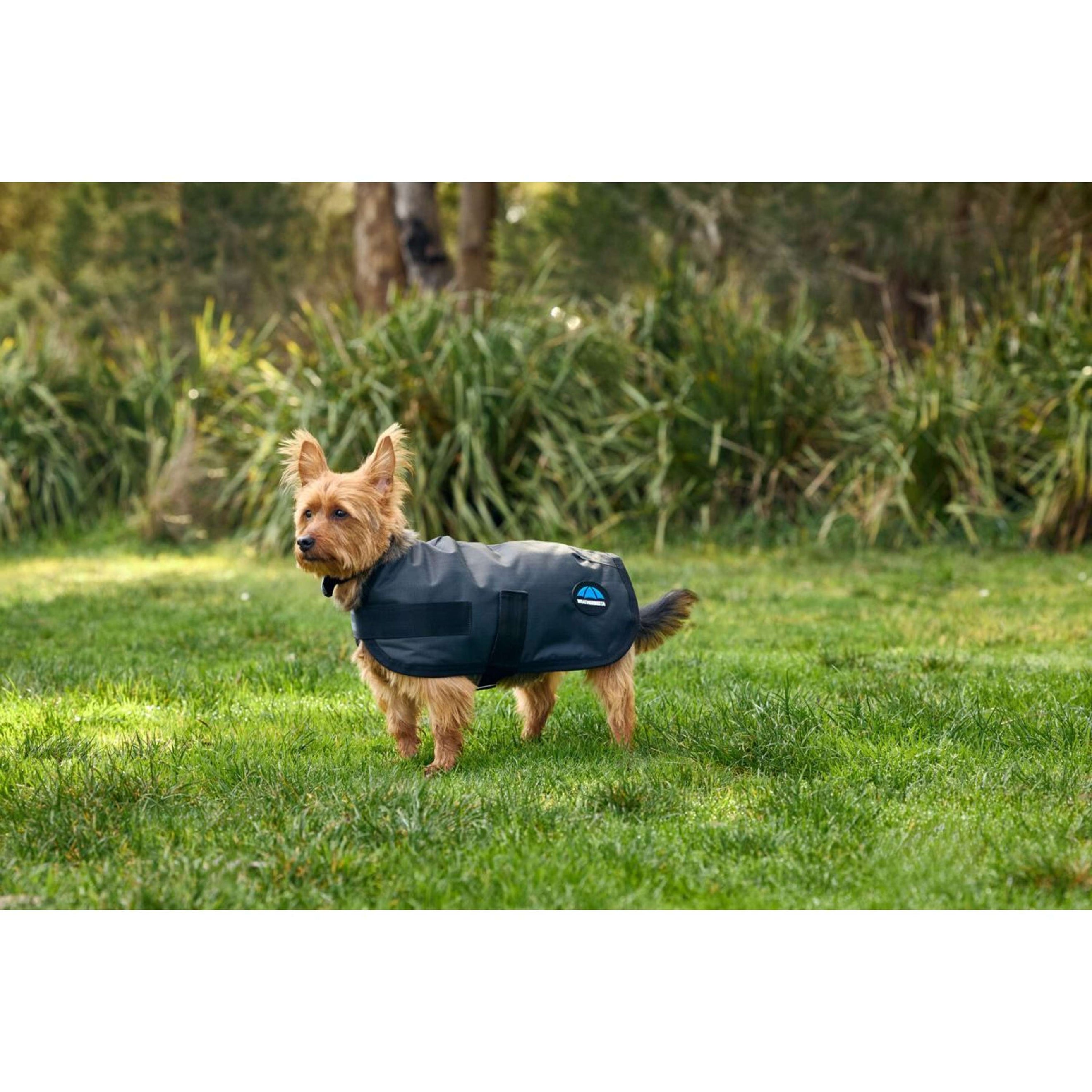 WeatherBeeta Manta para Perros ComFiTec Classic Waterproof Carbon