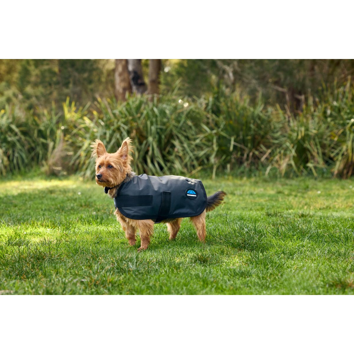 Weatherbeeta Manta para Perros Comfitec Classic Waterproof Carbon