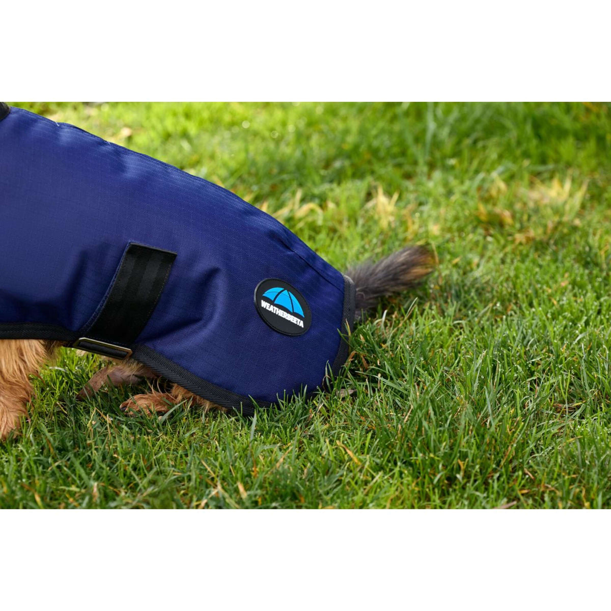 Weatherbeeta Manta para Perros Comfitec Classic Waterproof Navy
