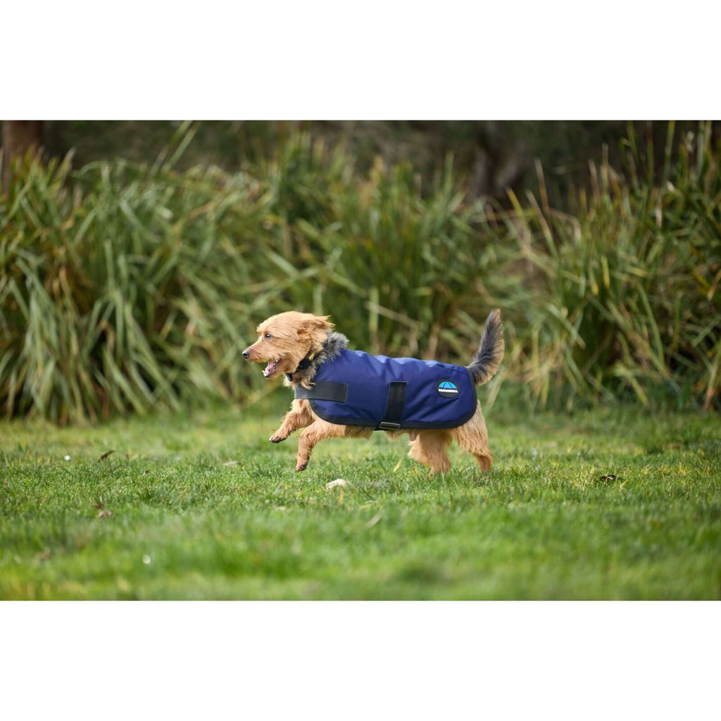 WeatherBeeta Manta para Perros ComFiTec Classic Waterproof Navy