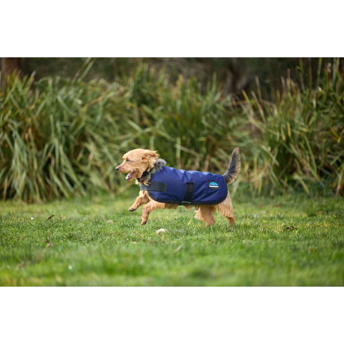 Weatherbeeta Manta para Perros Comfitec Classic Waterproof Navy