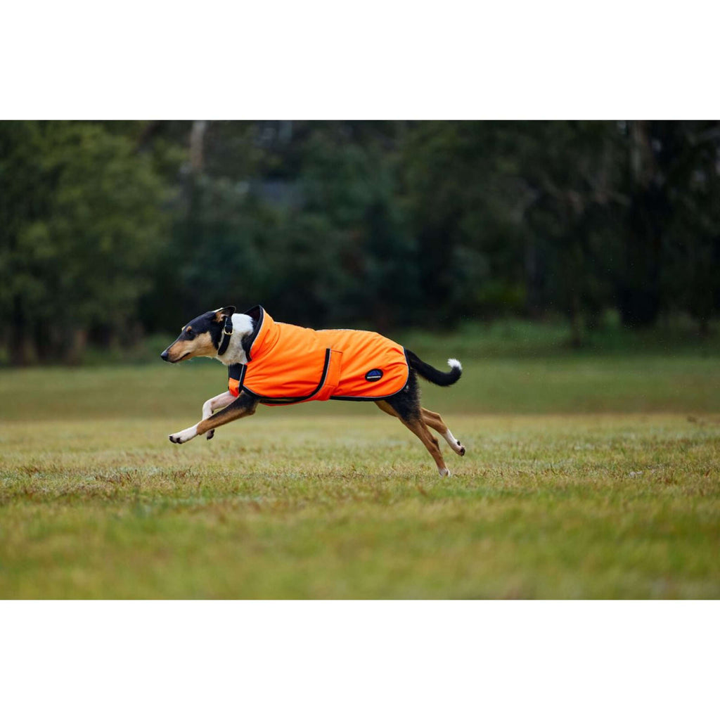 WeatherBeeta Manta para Perros ComFiTec Reflective 300D Deluxe Showerproof Naranja