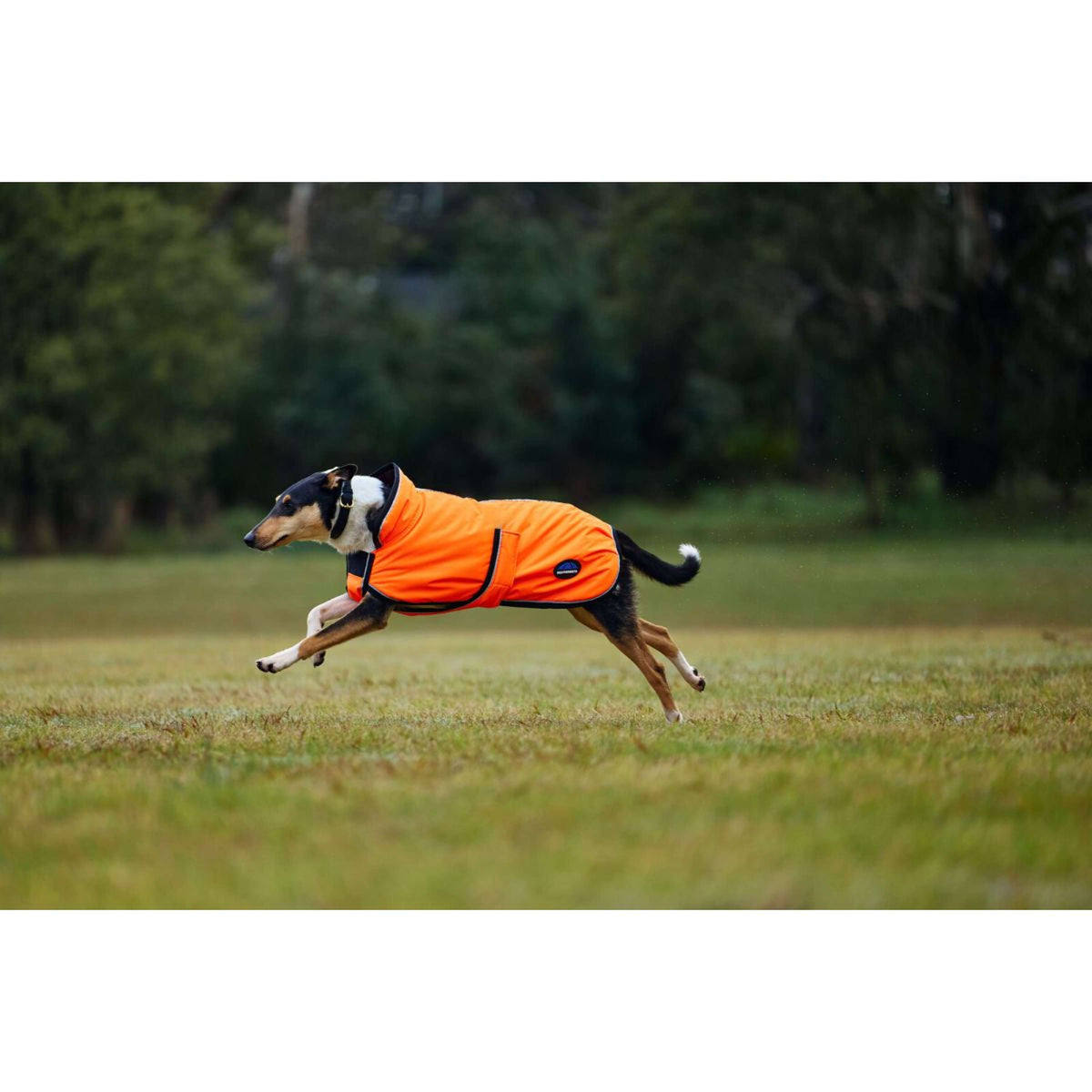 Weatherbeeta Manta para Perros Comfitec Reflective 300D Deluxe Showerproof Naranja